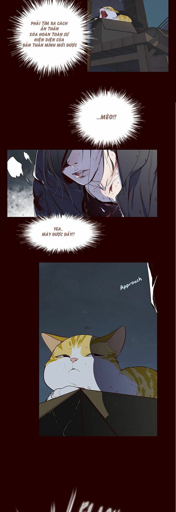 Hoá Thân Thành Mèo: Chapter 1