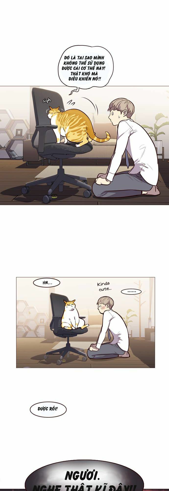 Hoá Thân Thành Mèo: Chapter 1