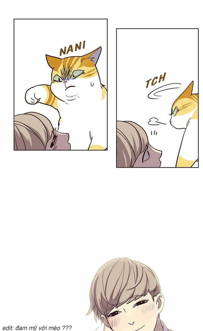 Hoá Thân Thành Mèo: Chapter 10