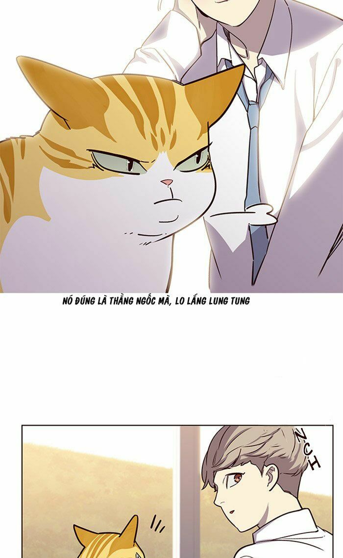 Hoá Thân Thành Mèo: Chapter 10