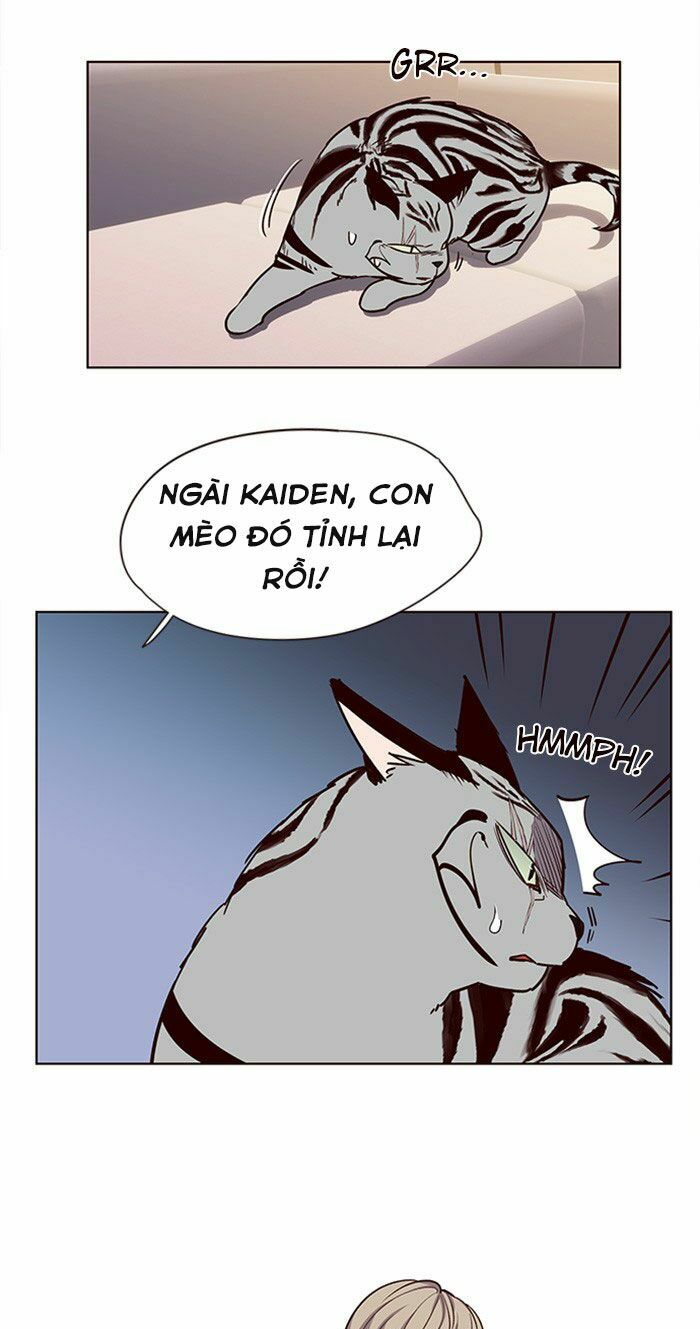 Hoá Thân Thành Mèo: Chapter 10