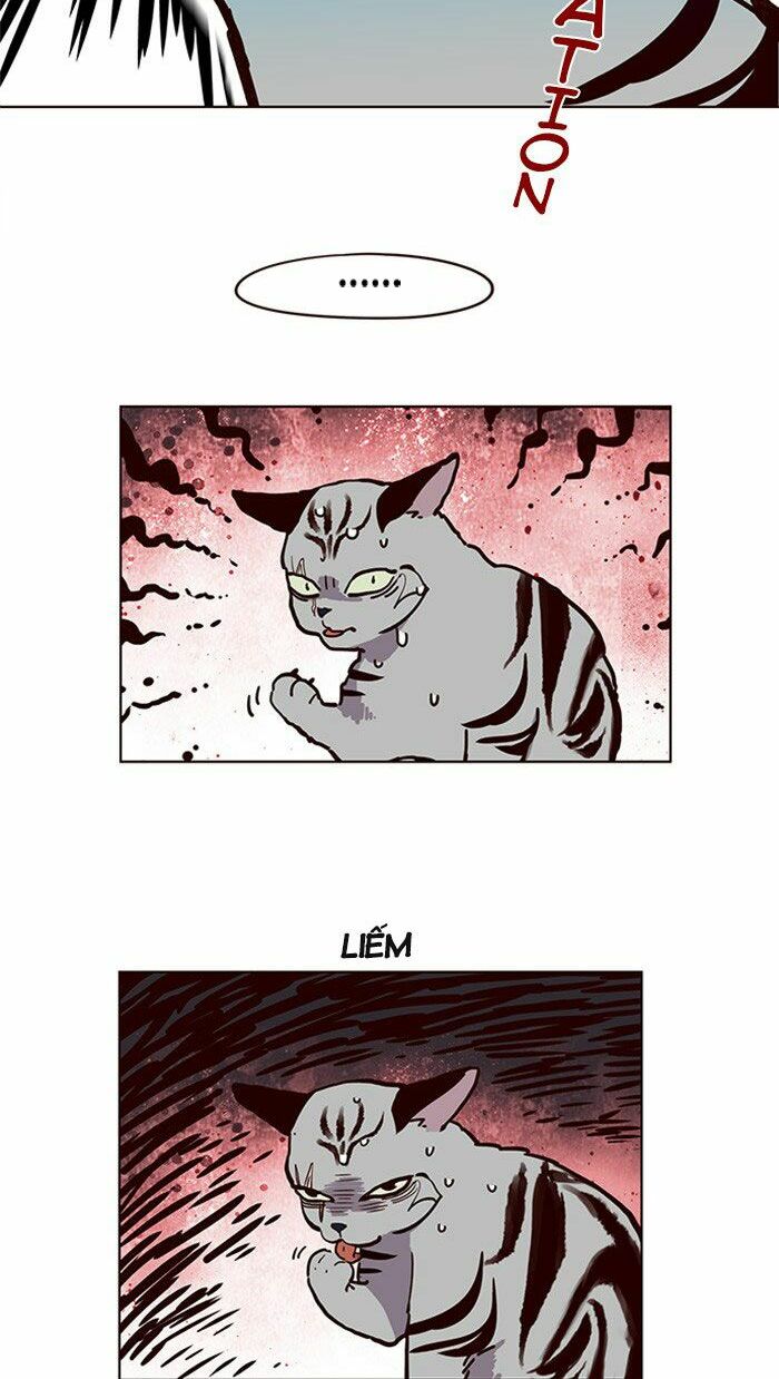 Hoá Thân Thành Mèo: Chapter 10
