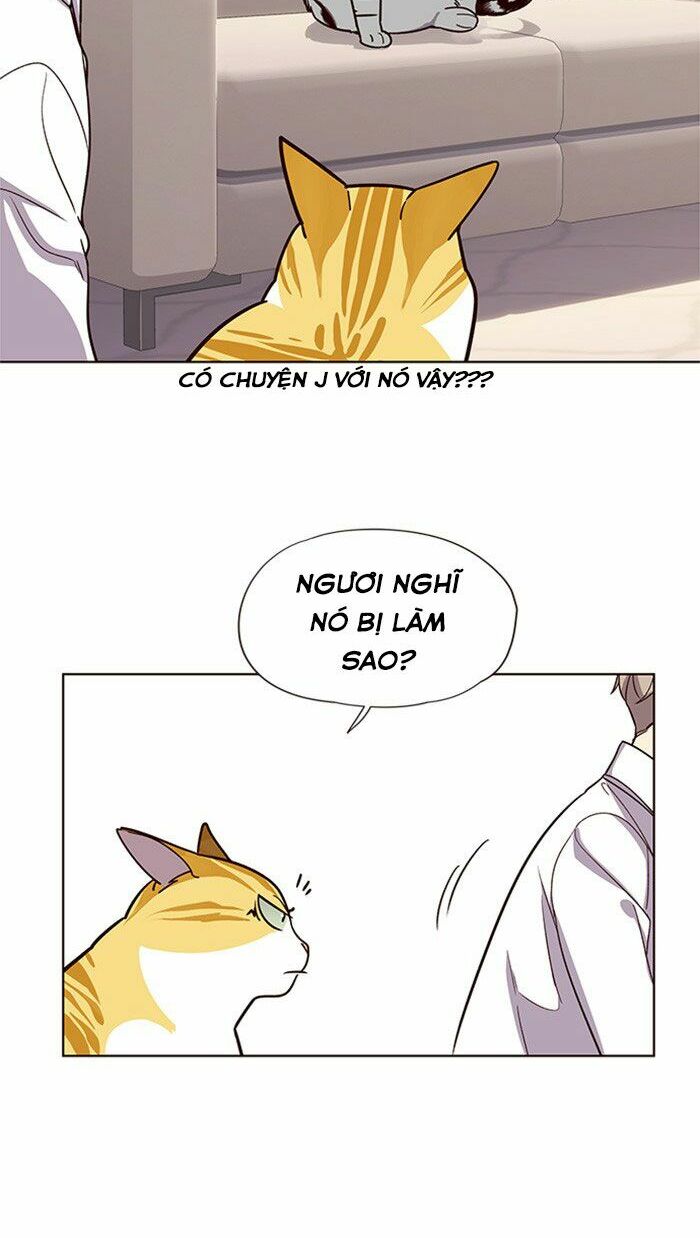 Hoá Thân Thành Mèo: Chapter 10