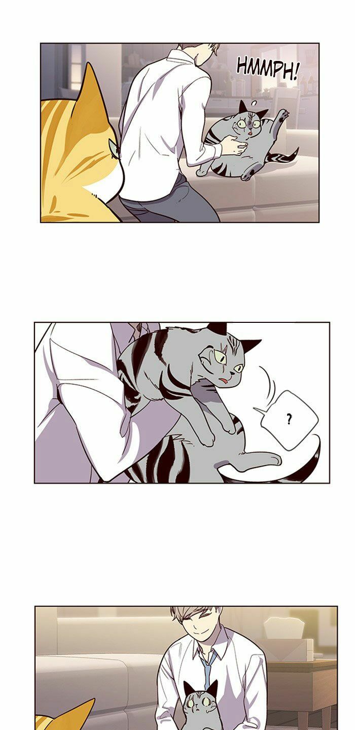 Hoá Thân Thành Mèo: Chapter 10