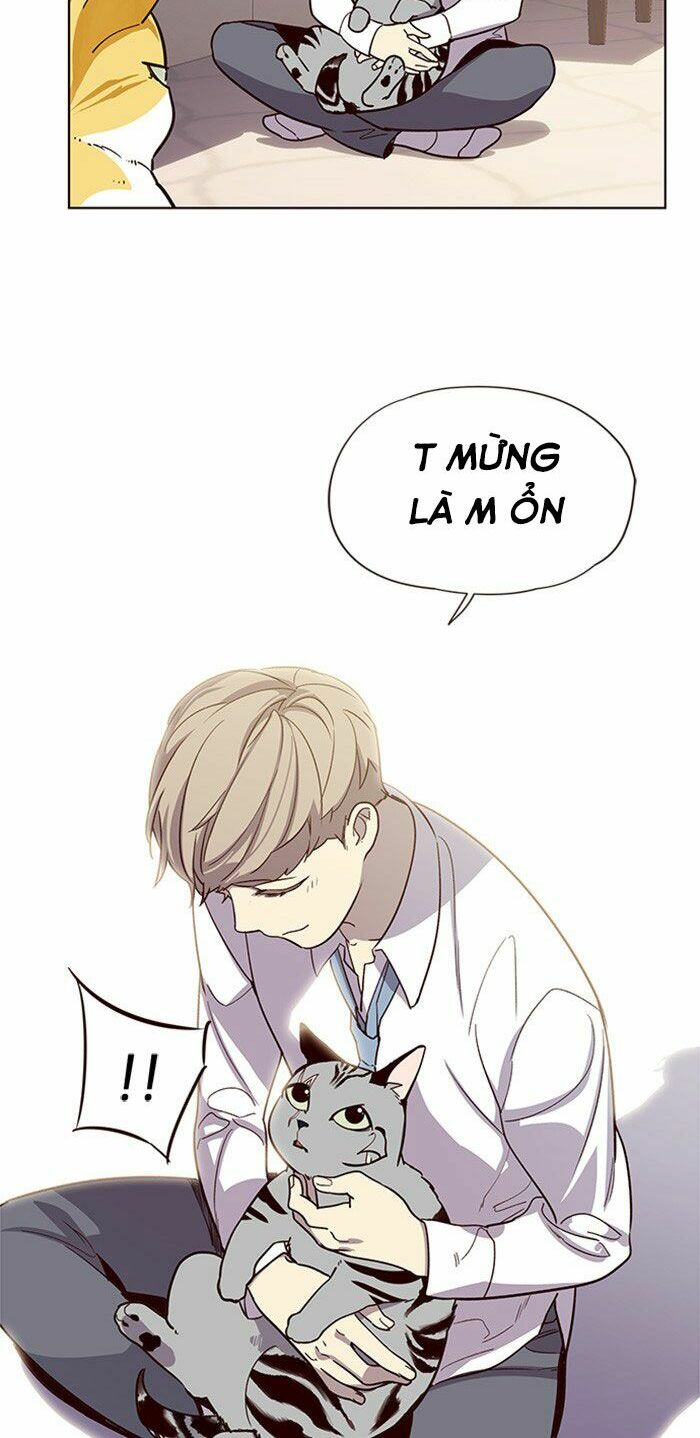 Hoá Thân Thành Mèo: Chapter 10
