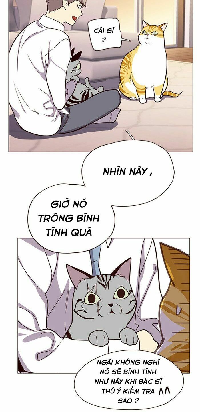 Hoá Thân Thành Mèo: Chapter 10