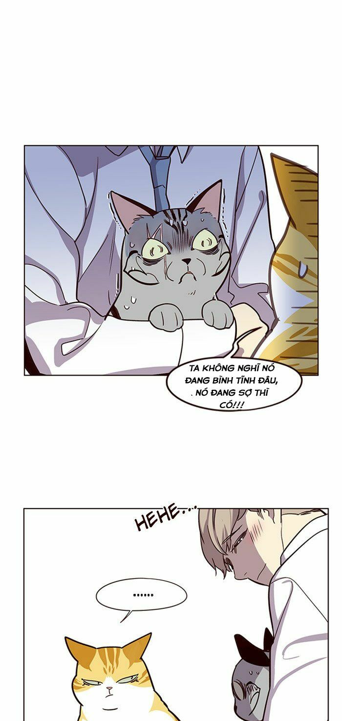 Hoá Thân Thành Mèo: Chapter 10