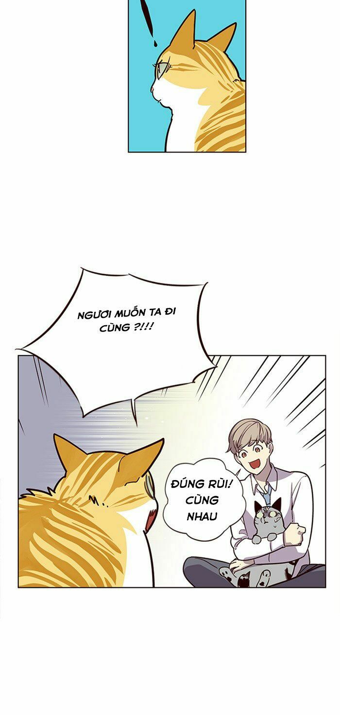 Hoá Thân Thành Mèo: Chapter 10