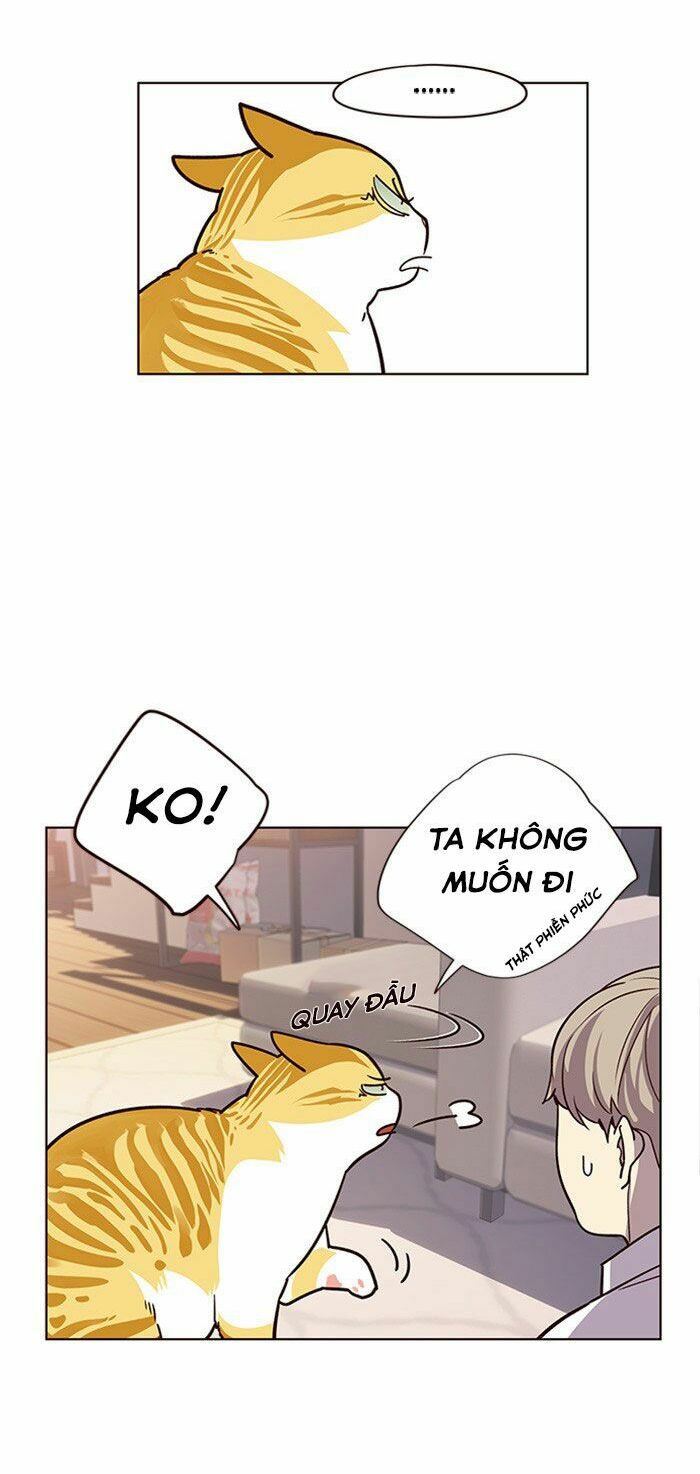 Hoá Thân Thành Mèo: Chapter 10
