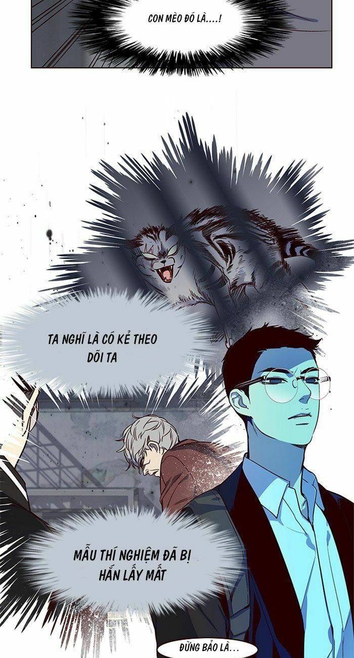 Hoá Thân Thành Mèo: Chapter 10