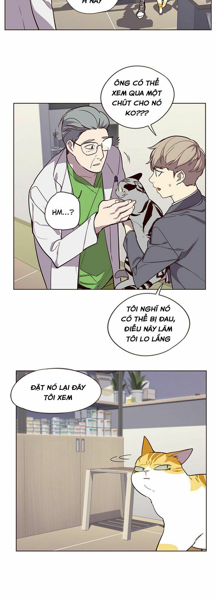 Hoá Thân Thành Mèo: Chapter 10