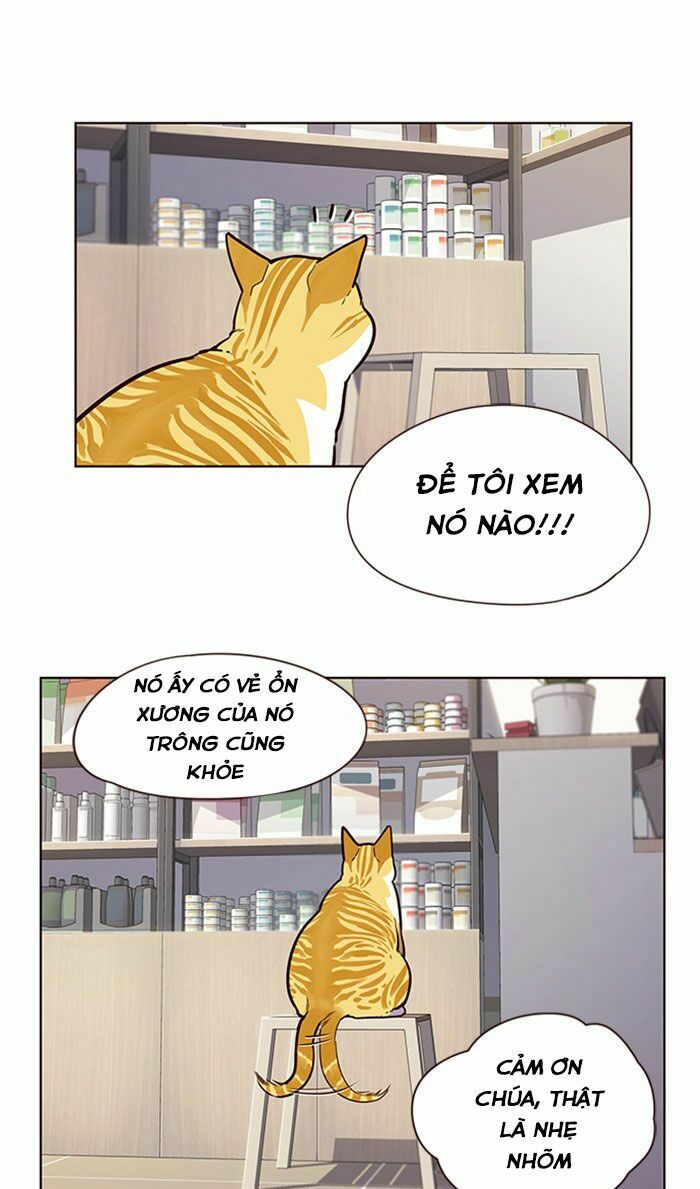 Hoá Thân Thành Mèo: Chapter 10