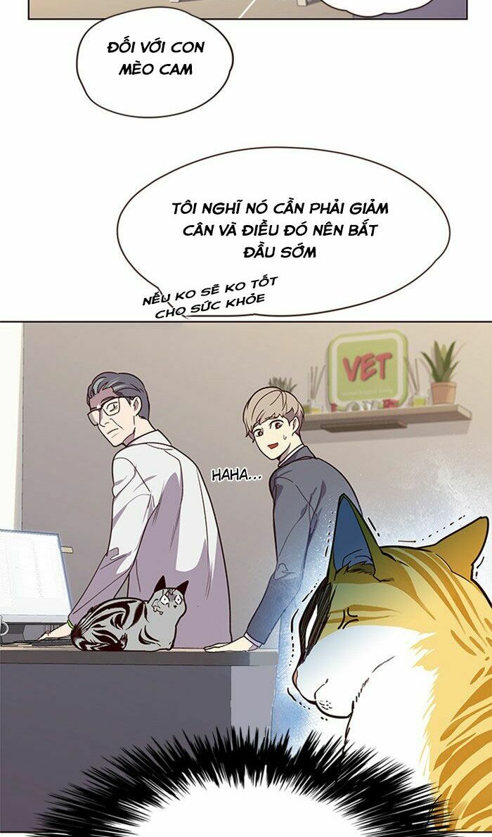 Hoá Thân Thành Mèo: Chapter 10