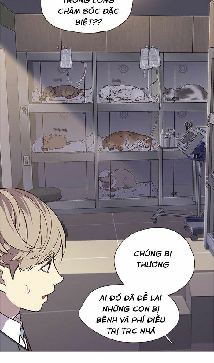 Hoá Thân Thành Mèo: Chapter 10