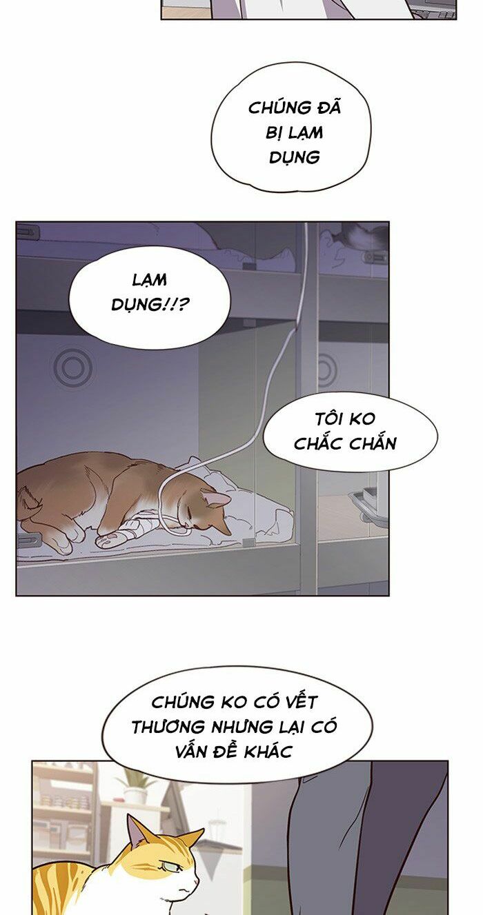 Hoá Thân Thành Mèo: Chapter 10