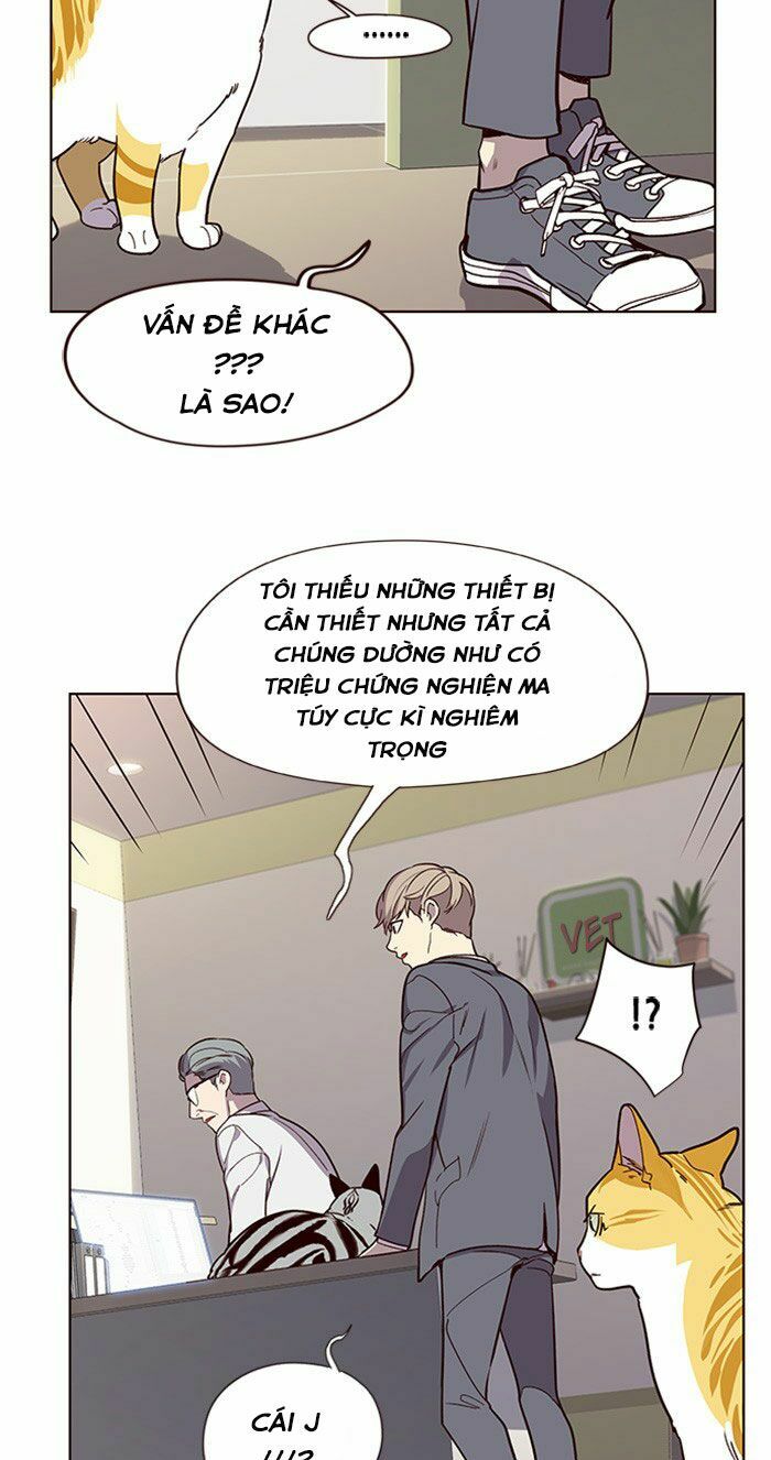 Hoá Thân Thành Mèo: Chapter 10