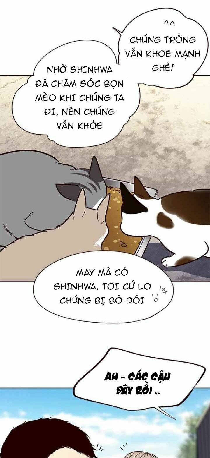Hoá Thân Thành Mèo: Chapter 100