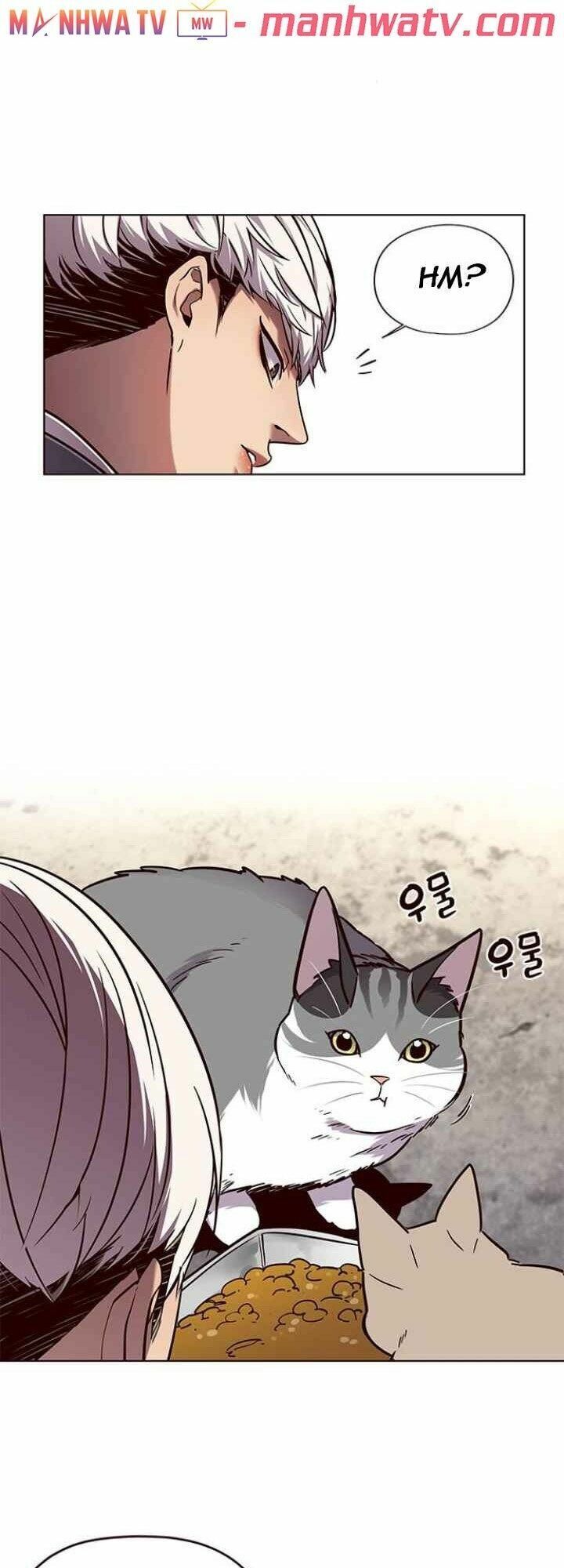 Hoá Thân Thành Mèo: Chapter 100