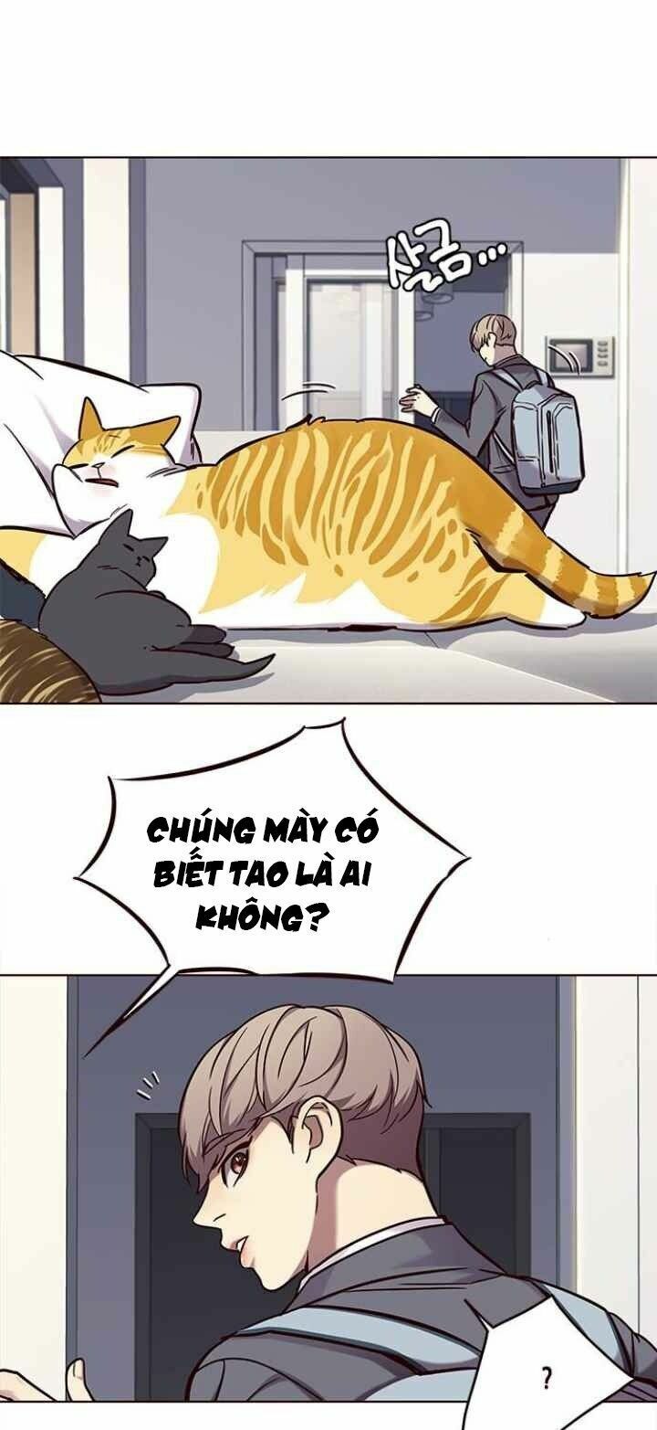 Hoá Thân Thành Mèo: Chapter 100