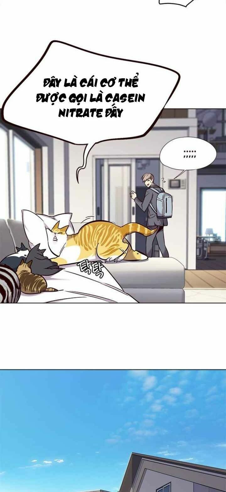 Hoá Thân Thành Mèo: Chapter 100