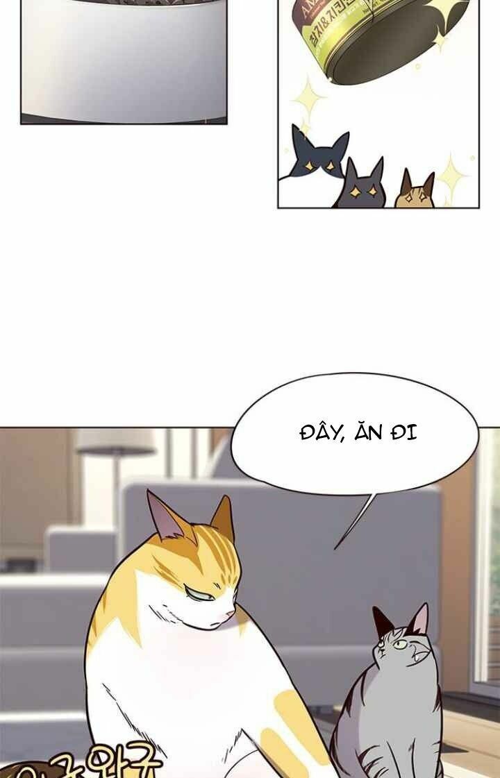Hoá Thân Thành Mèo: Chapter 101