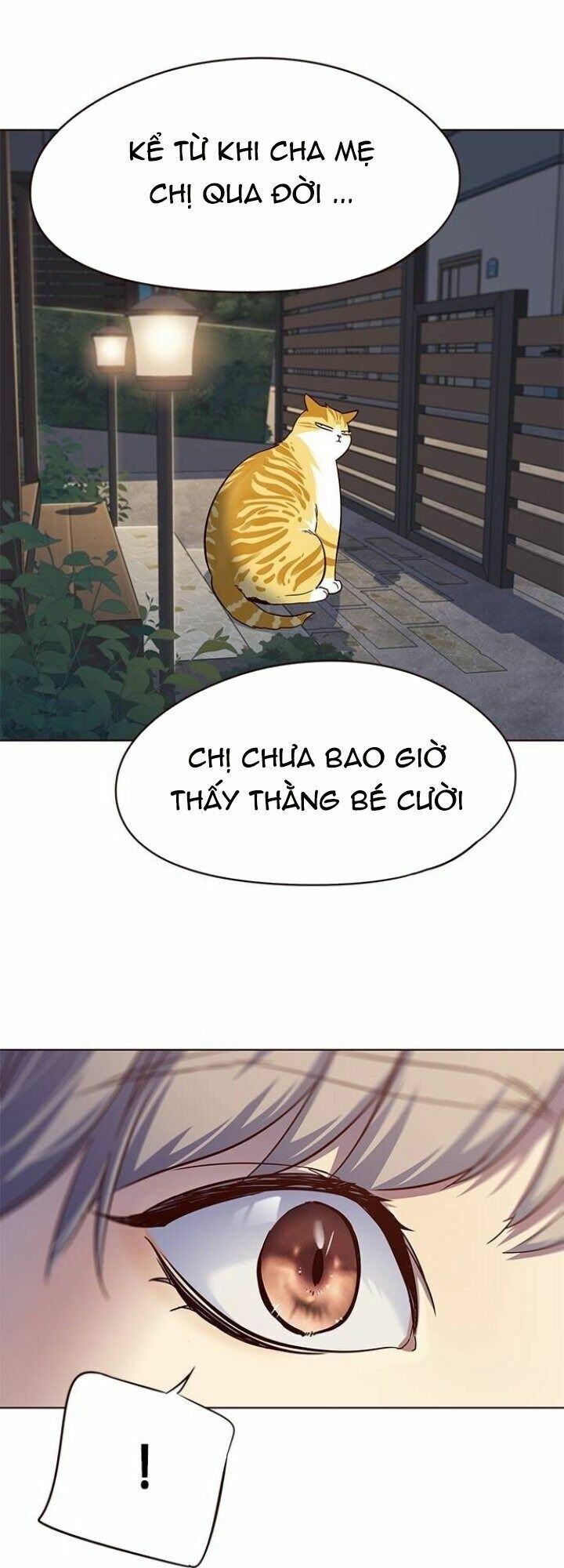 Hoá Thân Thành Mèo: Chapter 102