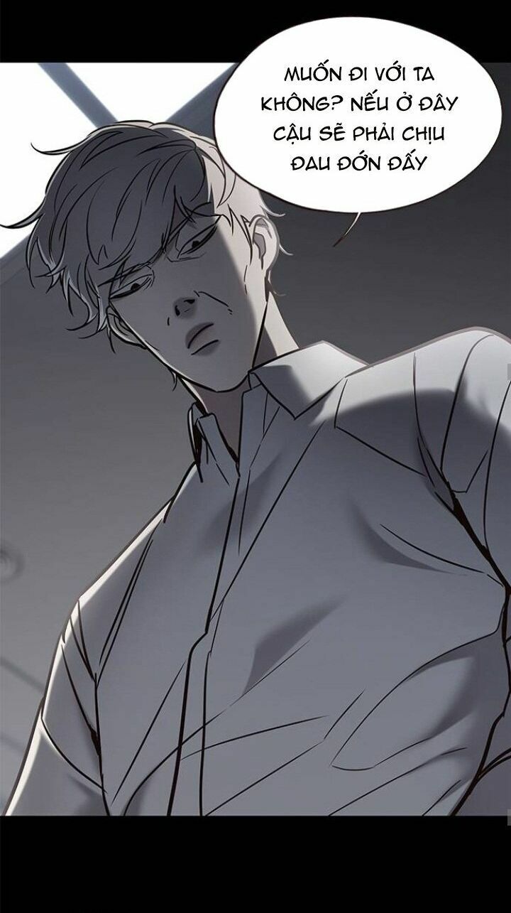 Hoá Thân Thành Mèo: Chapter 104