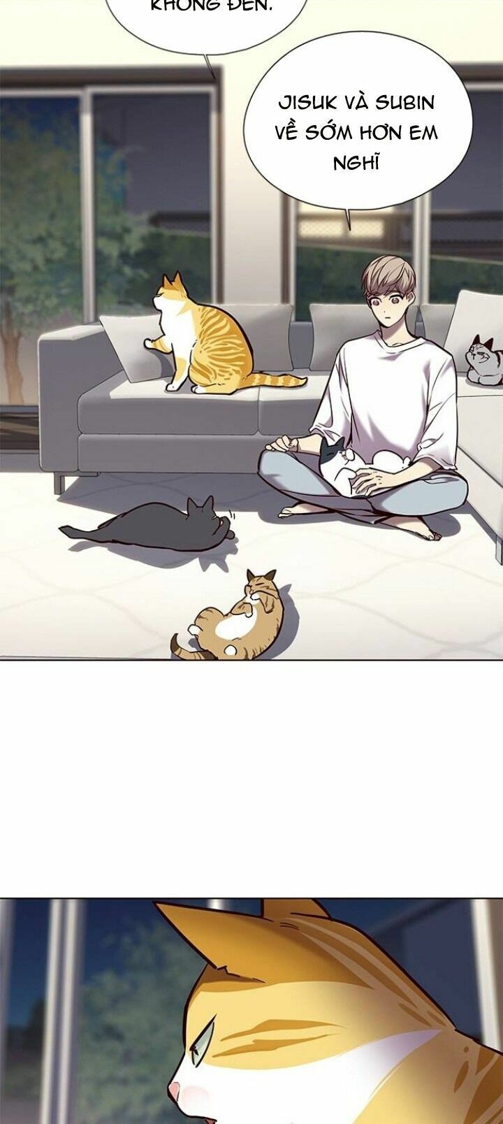 Hoá Thân Thành Mèo: Chapter 104