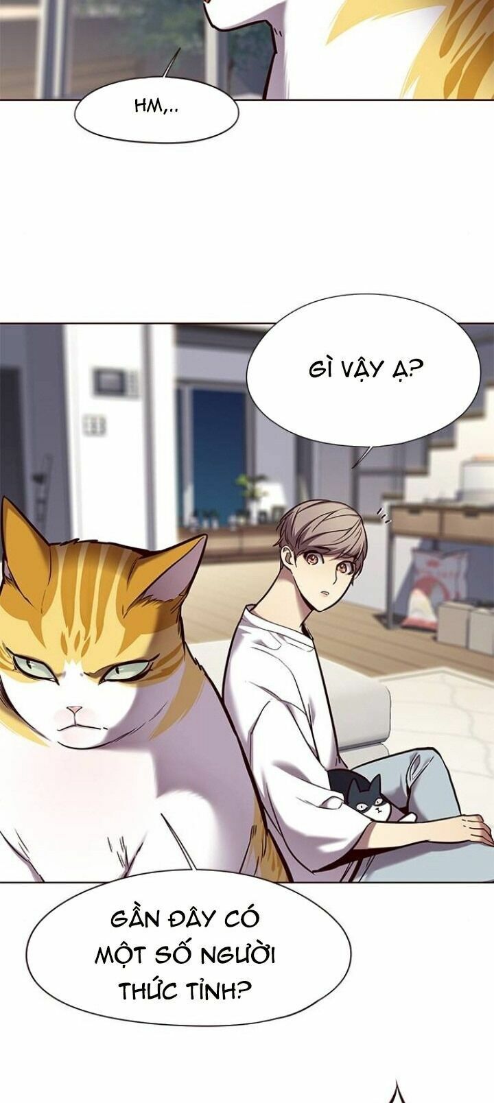 Hoá Thân Thành Mèo: Chapter 104
