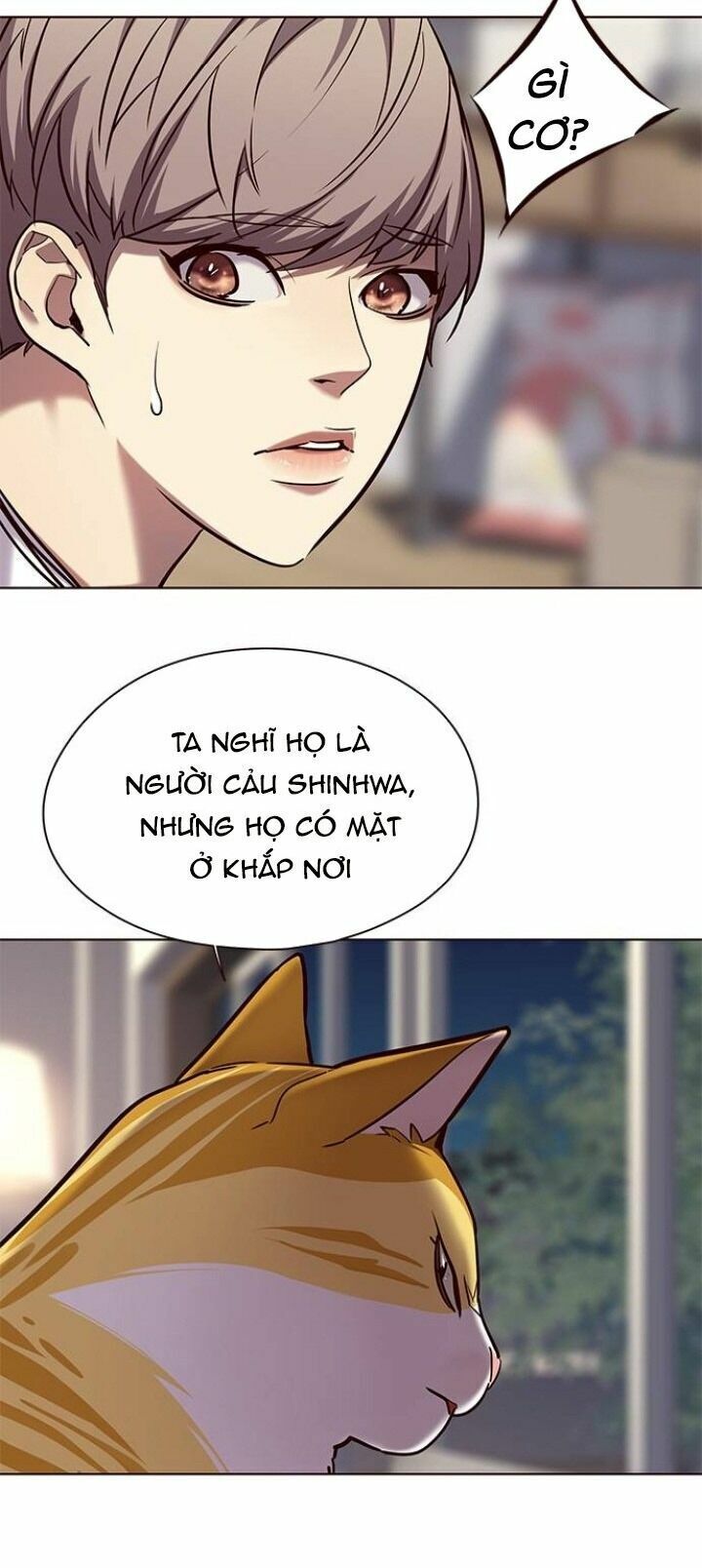 Hoá Thân Thành Mèo: Chapter 104