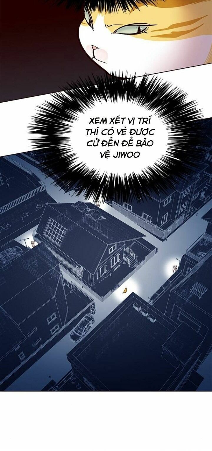 Hoá Thân Thành Mèo: Chapter 105