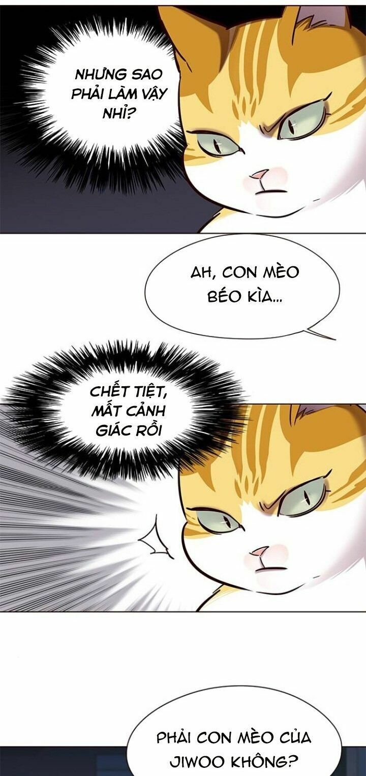 Hoá Thân Thành Mèo: Chapter 105