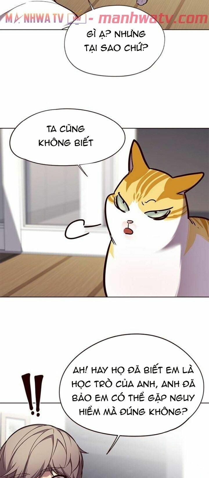 Hoá Thân Thành Mèo: Chapter 105