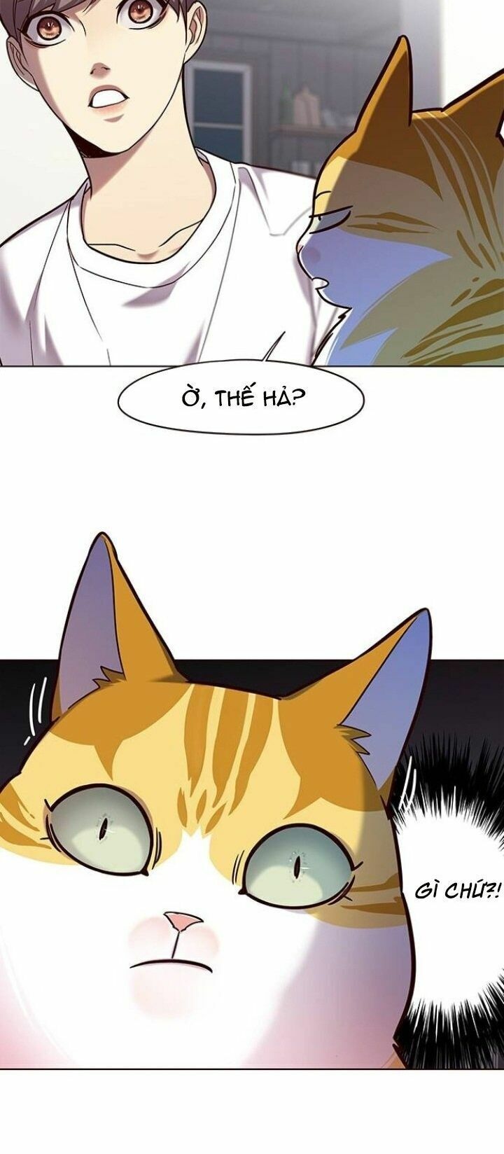 Hoá Thân Thành Mèo: Chapter 105