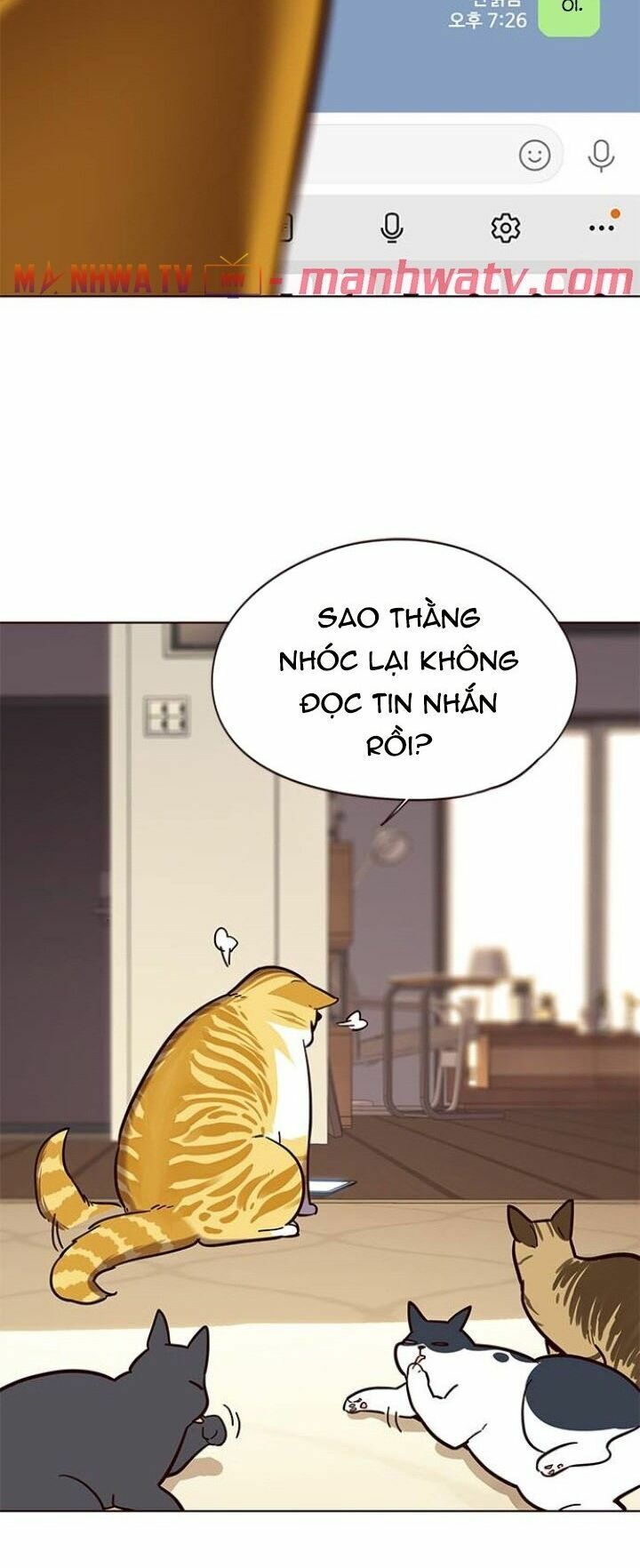 Hoá Thân Thành Mèo: Chapter 106