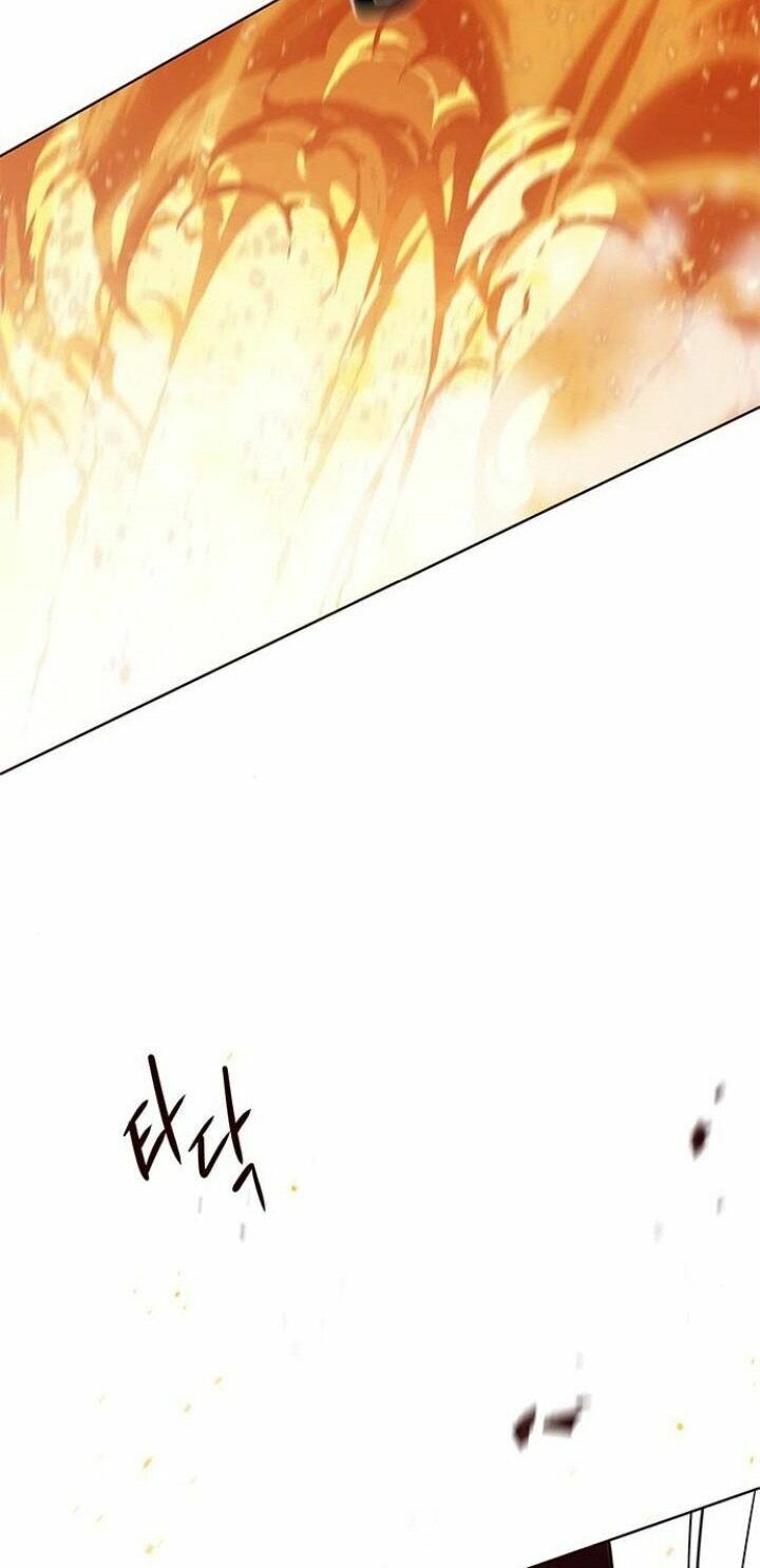 Hoá Thân Thành Mèo: Chapter 107