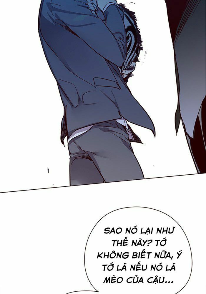 Hoá Thân Thành Mèo: Chapter 11