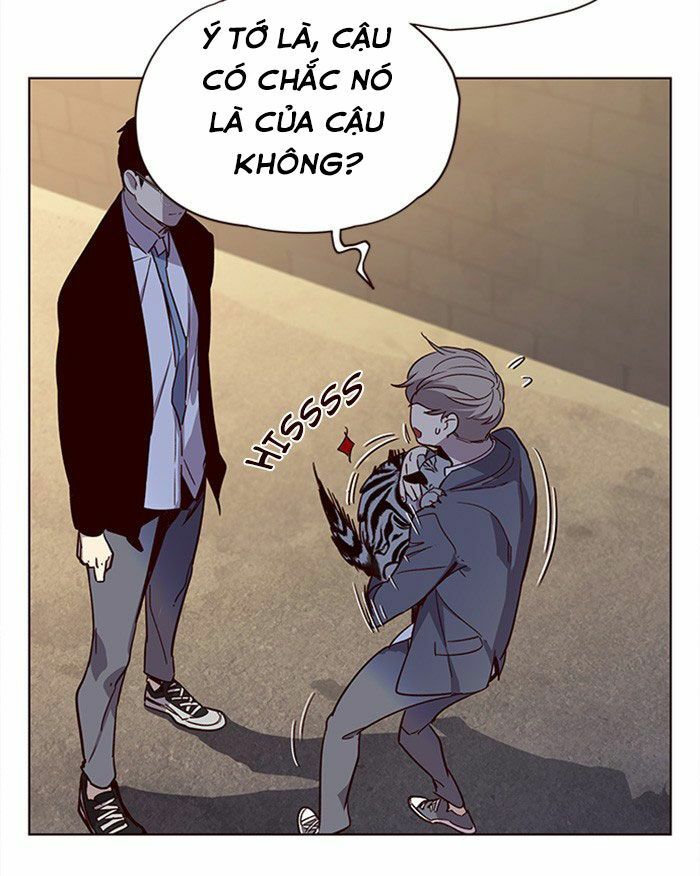 Hoá Thân Thành Mèo: Chapter 11