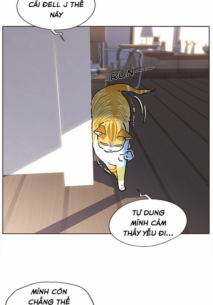 Hoá Thân Thành Mèo: Chapter 11