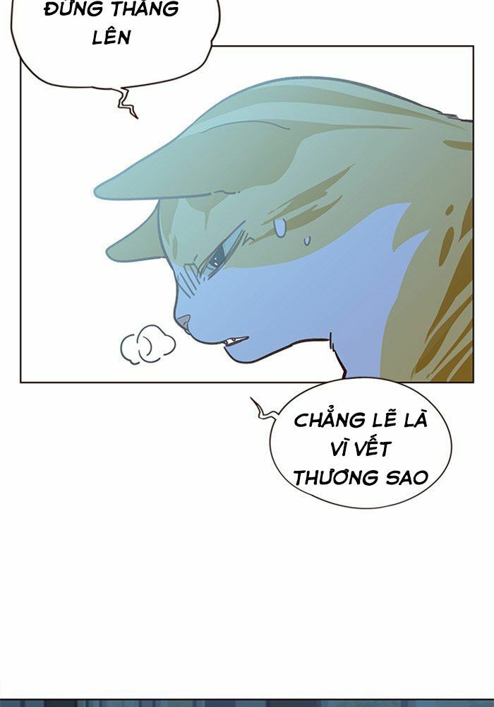 Hoá Thân Thành Mèo: Chapter 11