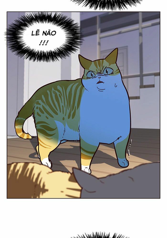 Hoá Thân Thành Mèo: Chapter 11