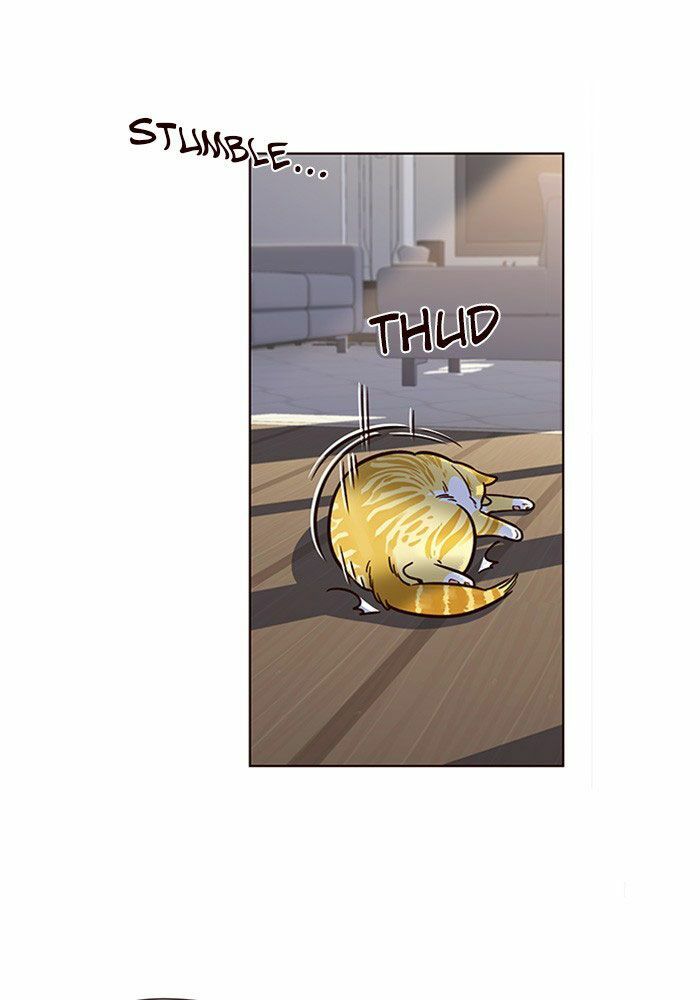 Hoá Thân Thành Mèo: Chapter 11
