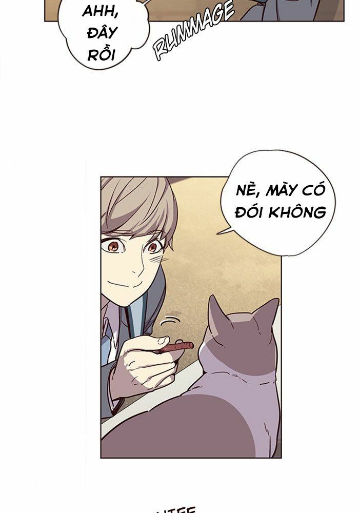 Hoá Thân Thành Mèo: Chapter 11