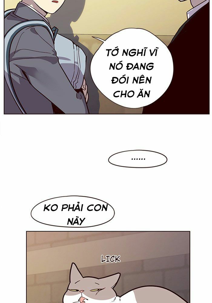 Hoá Thân Thành Mèo: Chapter 11