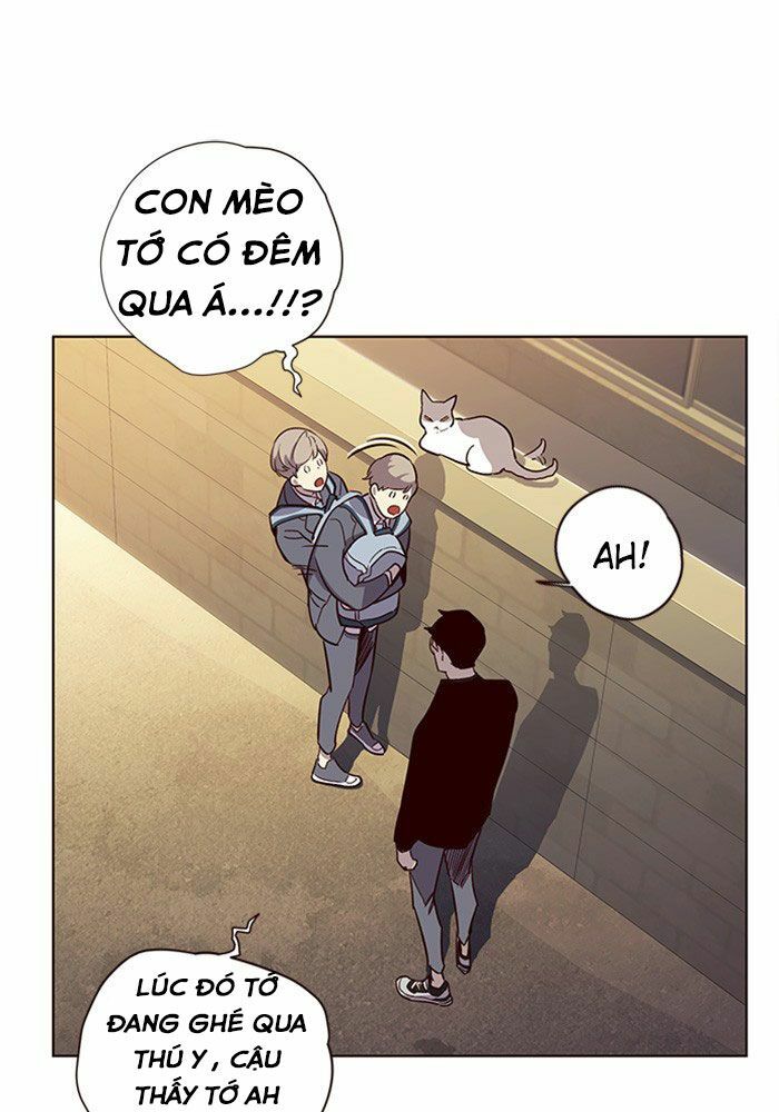 Hoá Thân Thành Mèo: Chapter 11