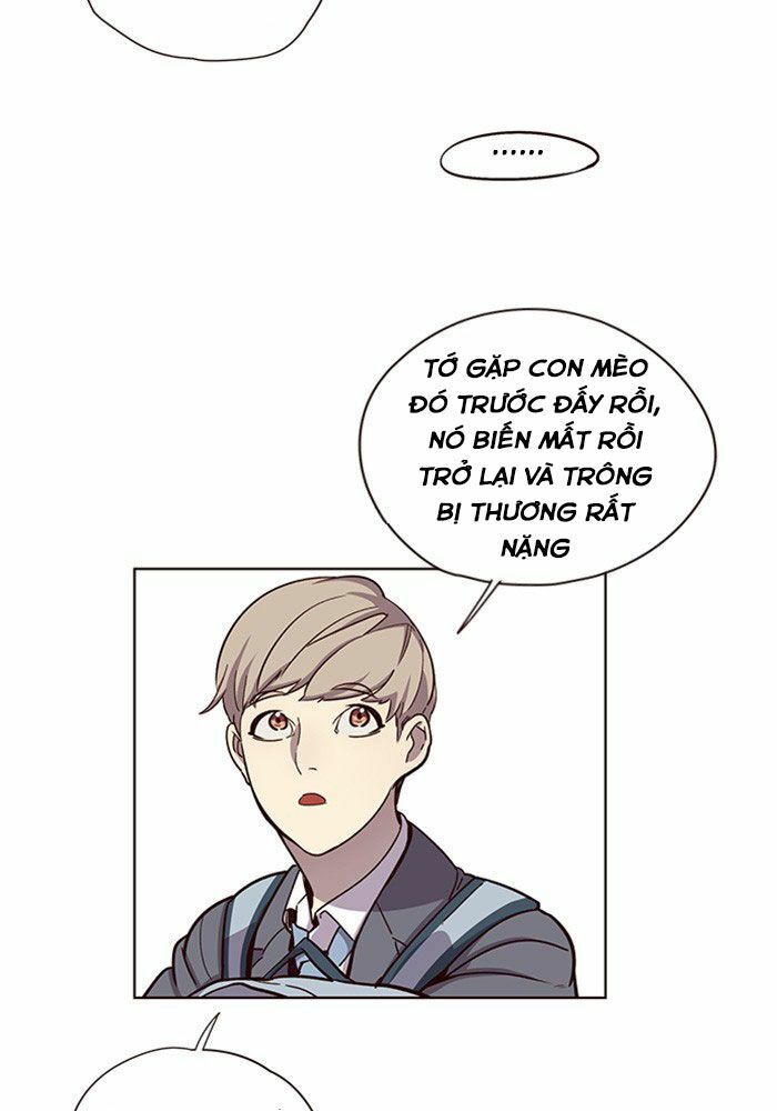 Hoá Thân Thành Mèo: Chapter 11