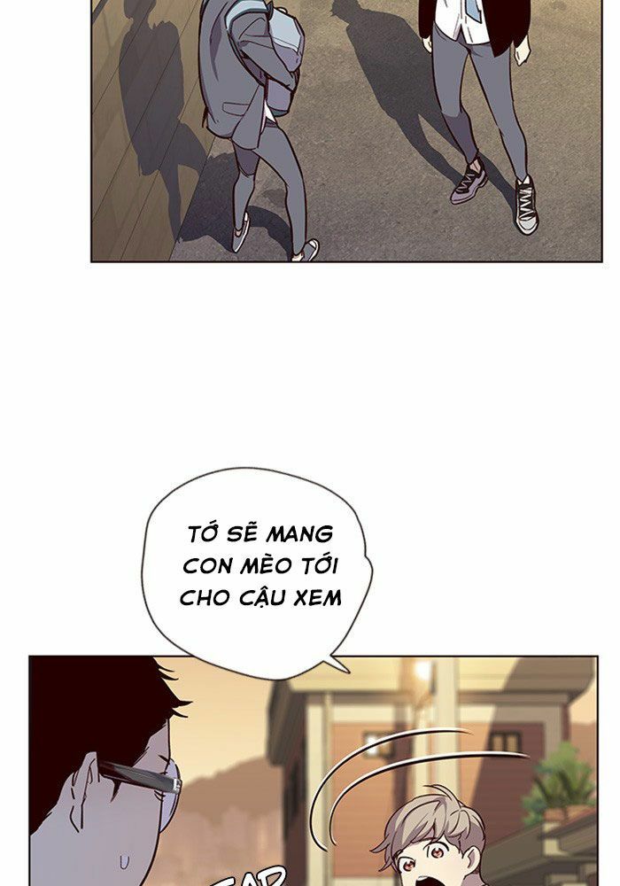 Hoá Thân Thành Mèo: Chapter 11