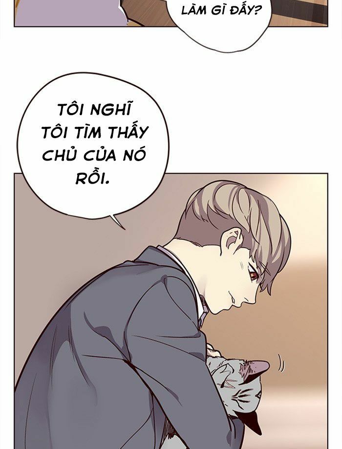 Hoá Thân Thành Mèo: Chapter 11