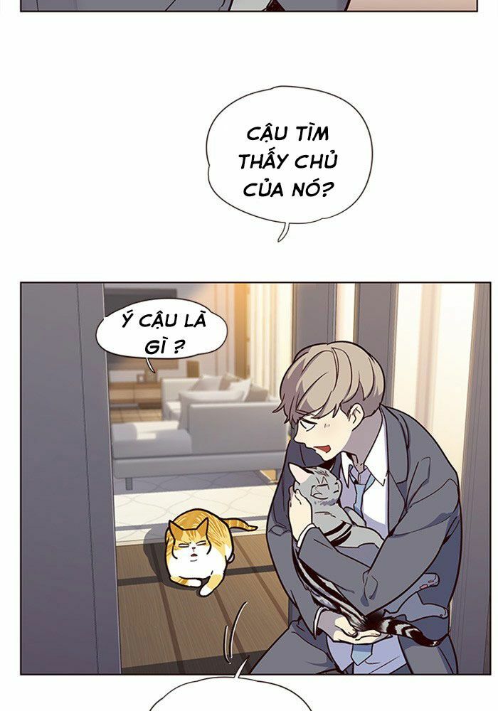 Hoá Thân Thành Mèo: Chapter 11