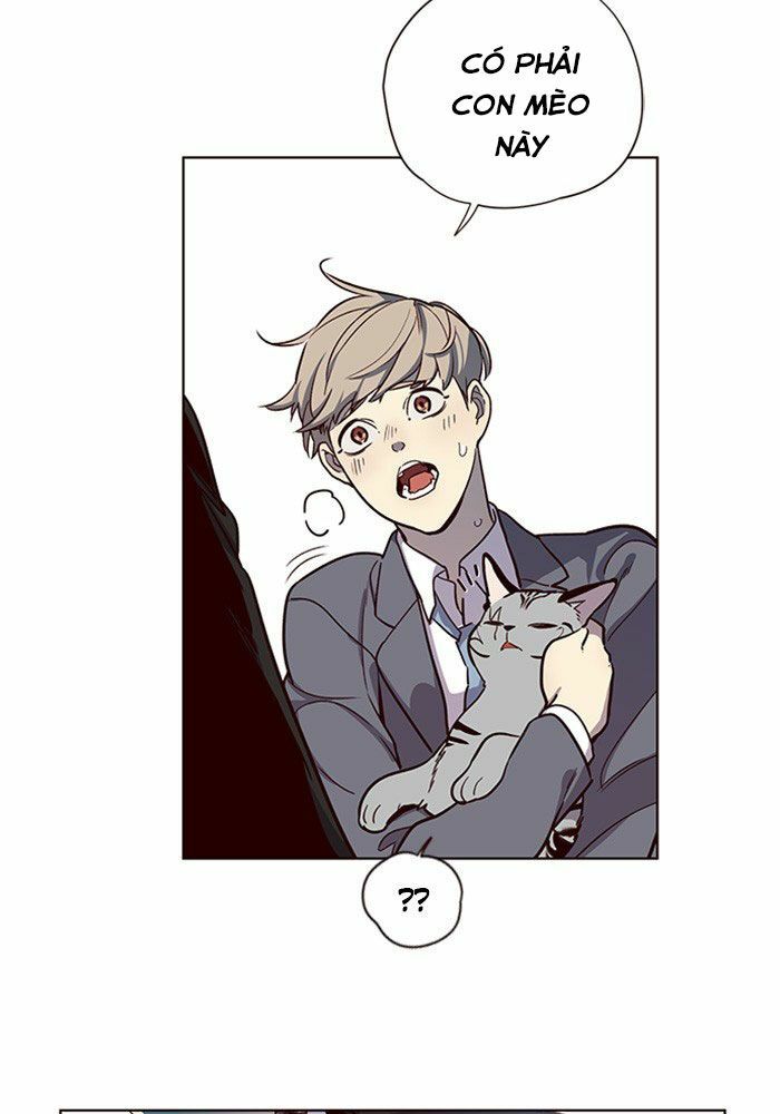 Hoá Thân Thành Mèo: Chapter 11